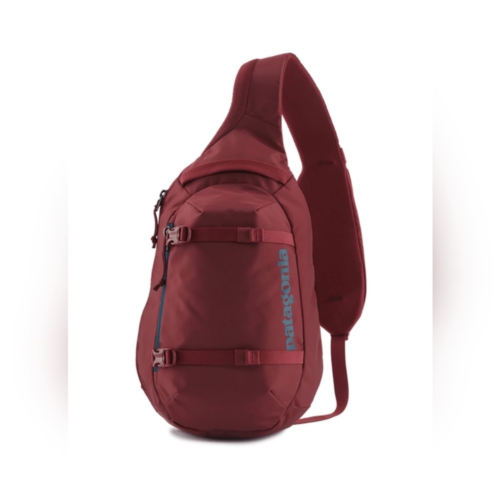 Patagonia Red Backpack